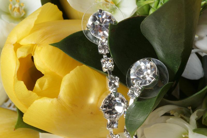 16May'09 0458.JPG